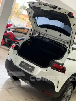 C4 CACTUS FELL