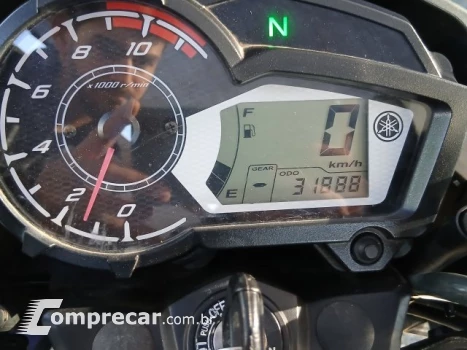 YS 150 FAZER SED - Street