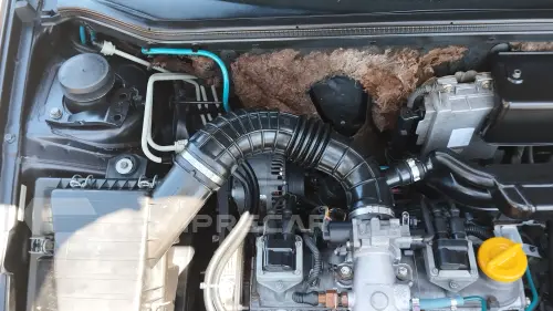 PALIO 1.0 MPI EDX 8V